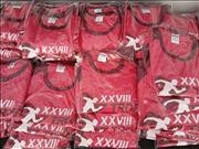 Pinguim20260123a_C_033