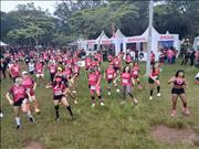 Pinguim20260125_C_011