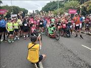 Pinguim20260125_C_013