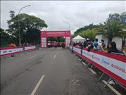 Pinguim20260125_C_017