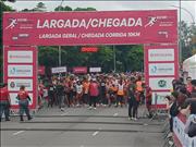 Pinguim20260125_C_024