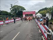 Pinguim20260125_C_025