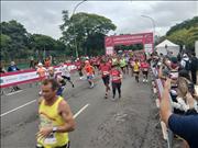 Pinguim20260125_C_027