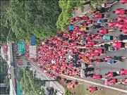 Pinguim20260125_C_034