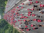 Pinguim20260125_C_035