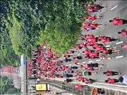 Pinguim20260125_C_041