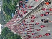 Pinguim20260125_C_042