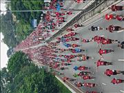 Pinguim20260125_C_043