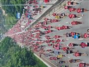 Pinguim20260125_C_044