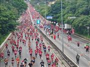 Pinguim20260125_C_045