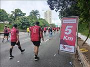 Pinguim20260125_C_048