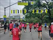 Pinguim20260125_C_049