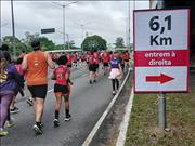 Pinguim20260125_C_054