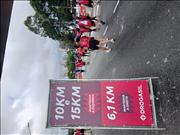 Pinguim20260125_C_058