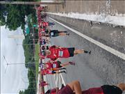 Pinguim20260125_C_063