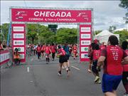 Pinguim20260125_C_065