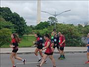 Pinguim20260125_C_066