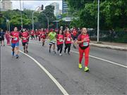 Pinguim20260125_C_069