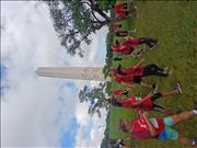 Pinguim20260125_C_088