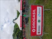 Pinguim20260125_C_090