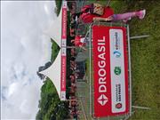 Pinguim20260125_C_091