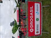 Pinguim20260125_C_098