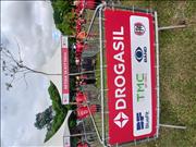 Pinguim20260125_C_100