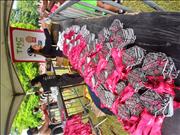 Pinguim20260125_C_101