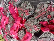 Pinguim20260125_C_102