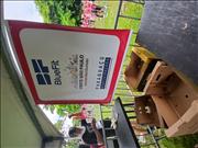 Pinguim20260125_C_107