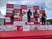 Pinguim20260125_C_137